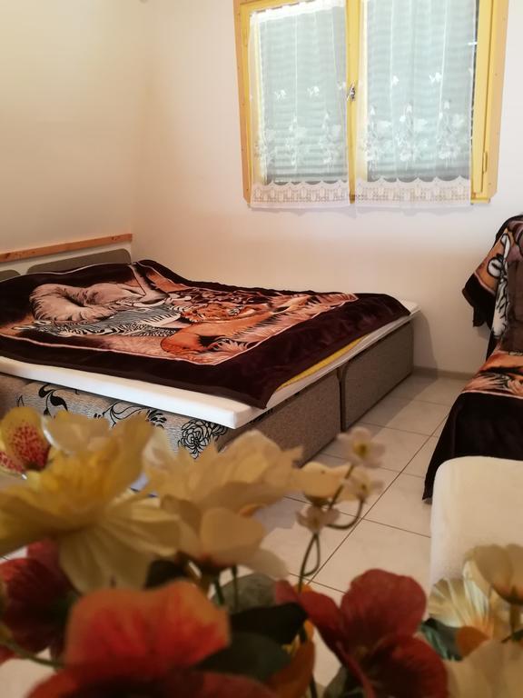 Tiszavirag Nyaralohaz Villa Szeged Ngoại thất bức ảnh