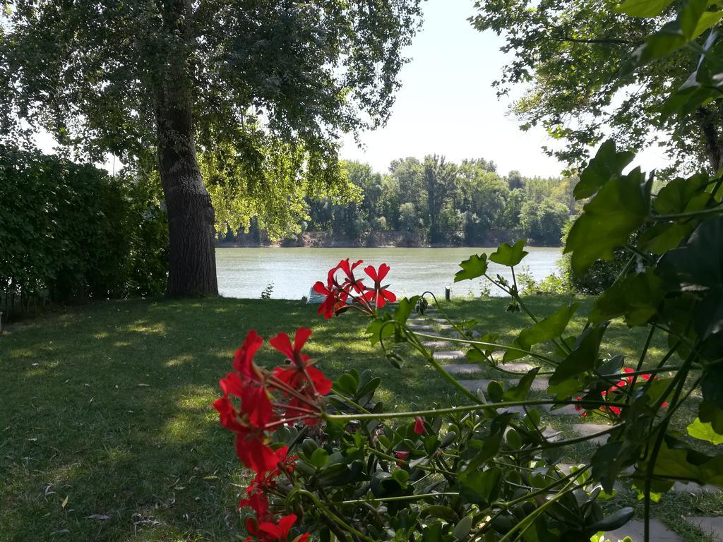 Tiszavirag Nyaralohaz Villa Szeged Ngoại thất bức ảnh